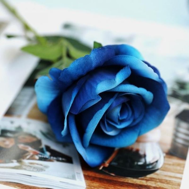 로즈가든 벨벳 장미 조화(블루) 홈데코 꽃꽂이 이미지
