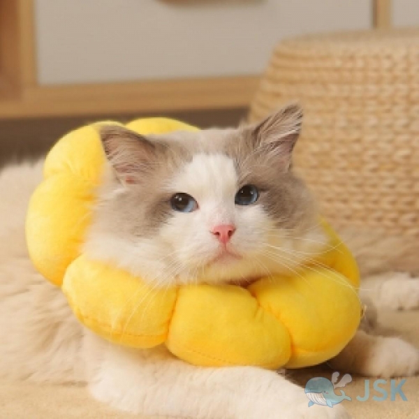 고양이 넥카라 깔대기 노랑 소S JS00600 이미지