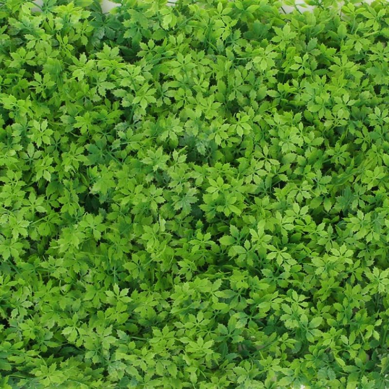숲인테리어 초록풀밭 벽장식 인조잔디(60x40cm) 이미지