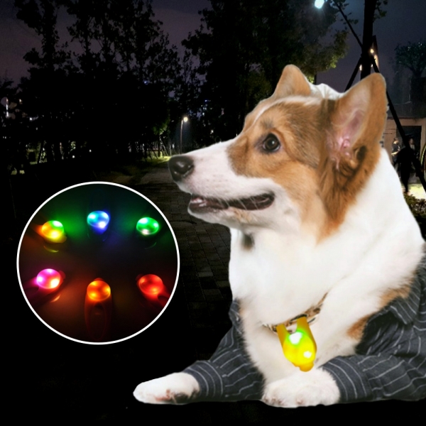 강아지 불빛 안전 야간산책 LED 펜던트 인식표 이미지