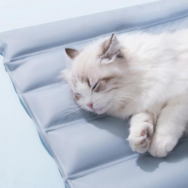 급속냉각 시원한 여름 릴렉스 강아지 고양이 아이스패드 이미지