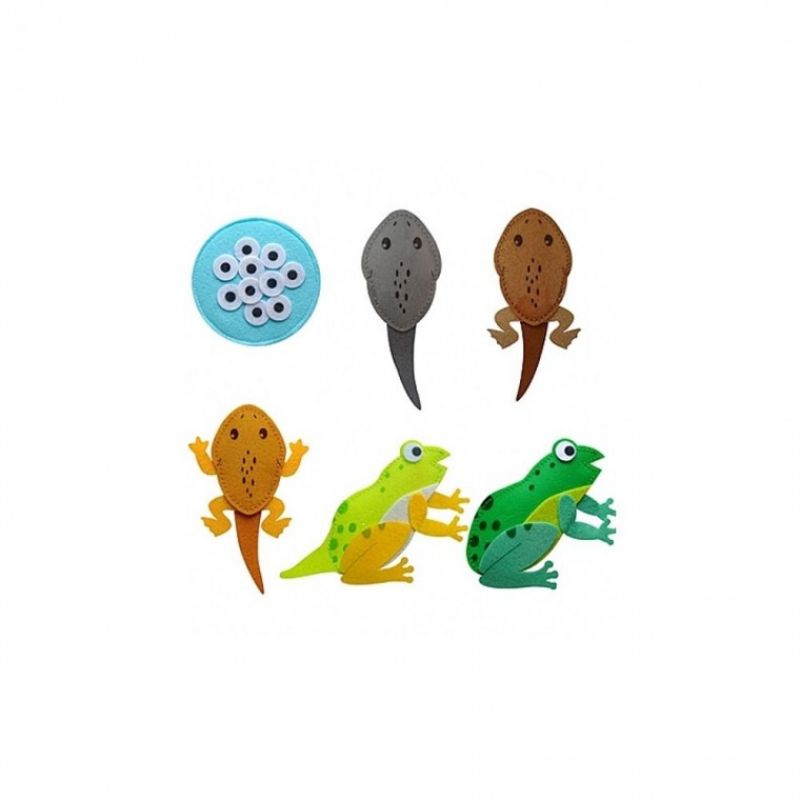 [청양] 교육자료 동물의 한살이-개구리 이미지