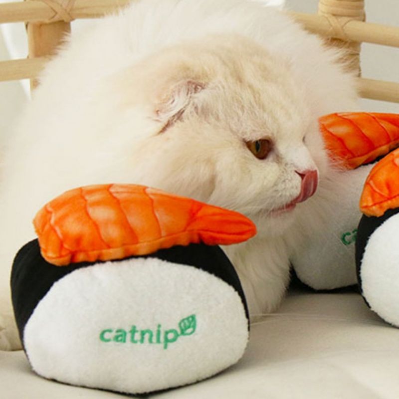 도그포즈 고양이 장난감 초밥 이미지