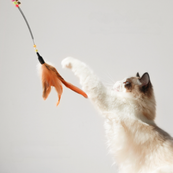 고양이 깃털 낚시대 장난감 낚싯대 캣 막대 사냥놀이 이미지